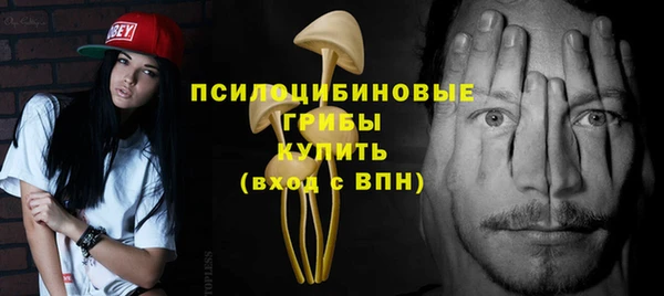 таблы Краснослободск